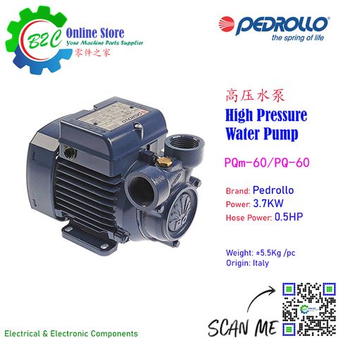 PQM-60 Pedrollo Coolant Water Oil High Pressure Pump Motor Italy Machine PQ-60 0.5HP 220V PQ 60 PQM 60 线切割 机台切削液 意大利 冷却液 水泵 油泵 佩德罗