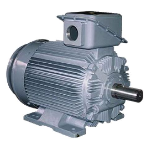 TMEIC 3 Phase High Voltage Induction Motor 21-FII