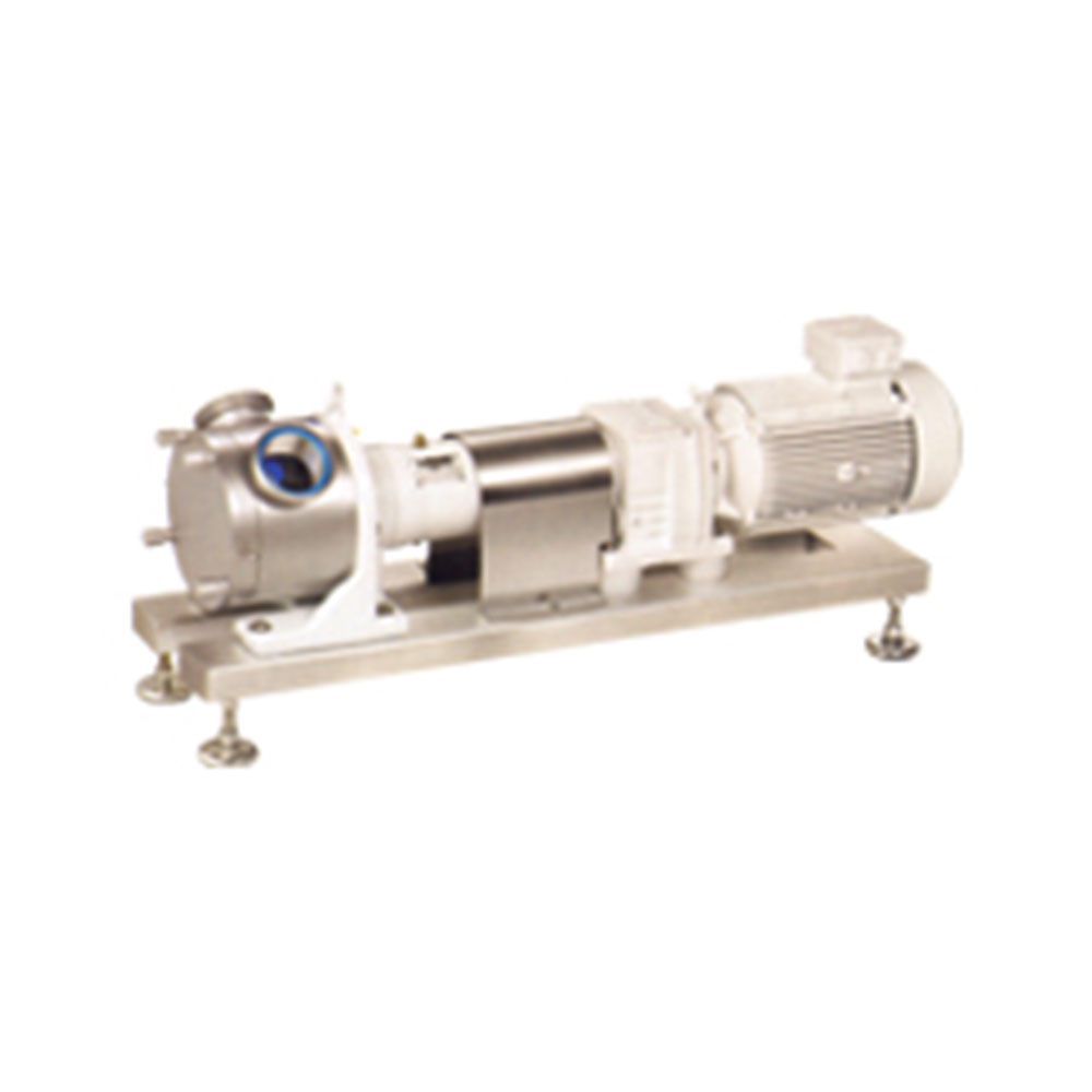 Industrial & Sanitary Positive Displacement Pumps