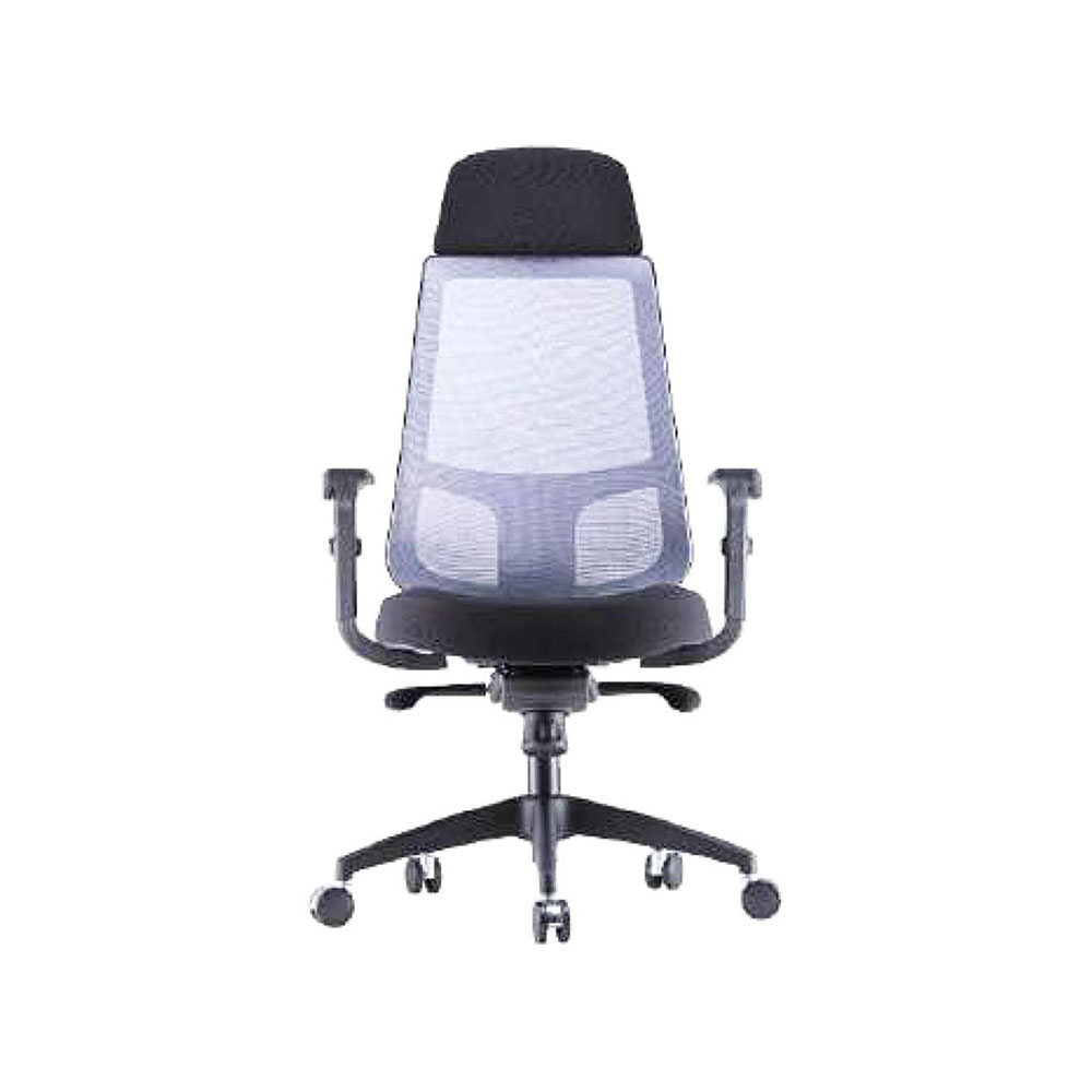 High Back Adjustable Backrest Mesh Office Chair (Model: RICO 1)