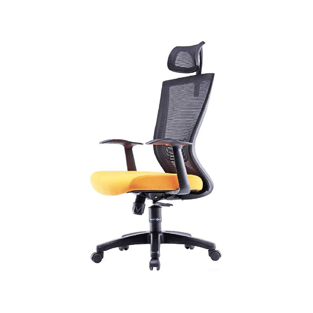 High Back Ergonomic Design Mesh Office Chair (Model ERGOLITE 1