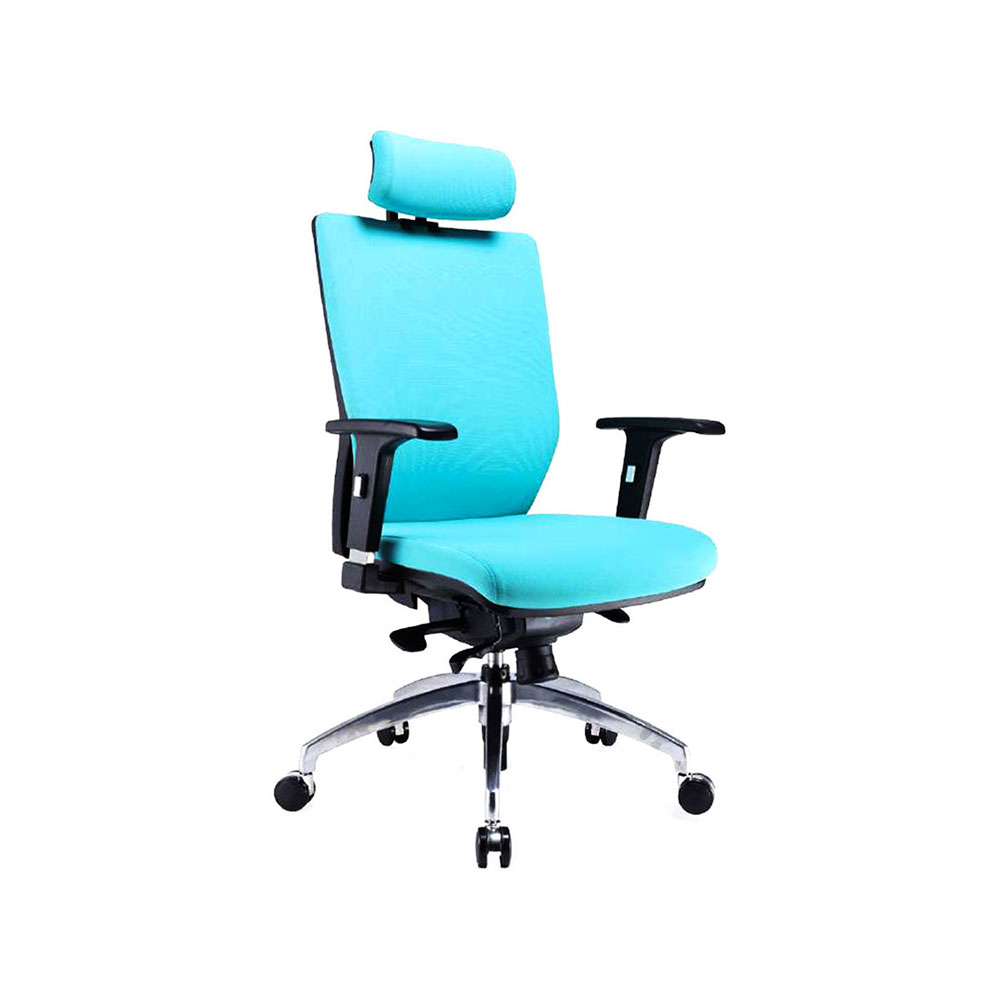 High Back Height Adjustable Armrest Office Chair (Model: NEMO 2)