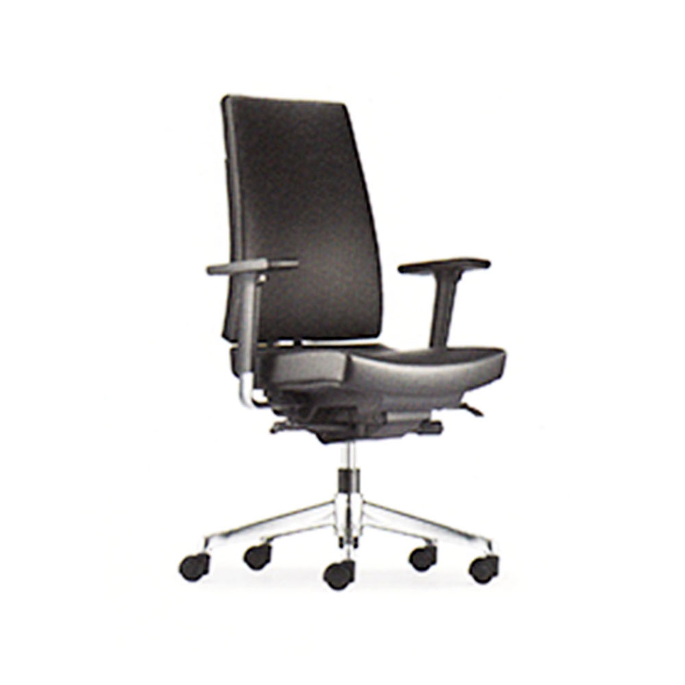 Medium Back Adjustable Armrest Office Chair (Model: CLOVER CV6111L-14D98)