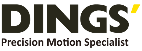 DINGSMOTION 08HS2038-4D-050-EK5D-100 (Motor)