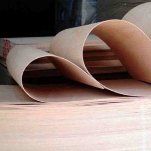 Bending Plywood