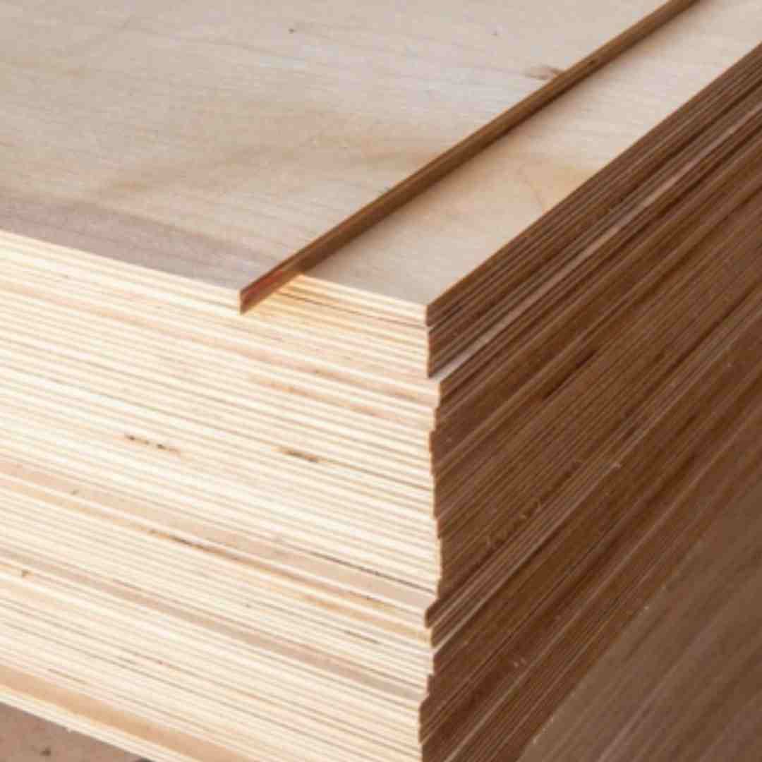 Full Falcata Plywood