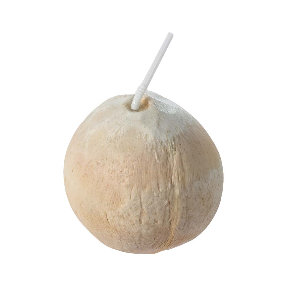 Fully Polished Ball Style Coconut