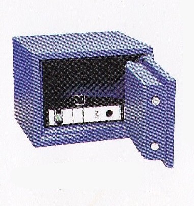 APS AP1 Personal Safe Box