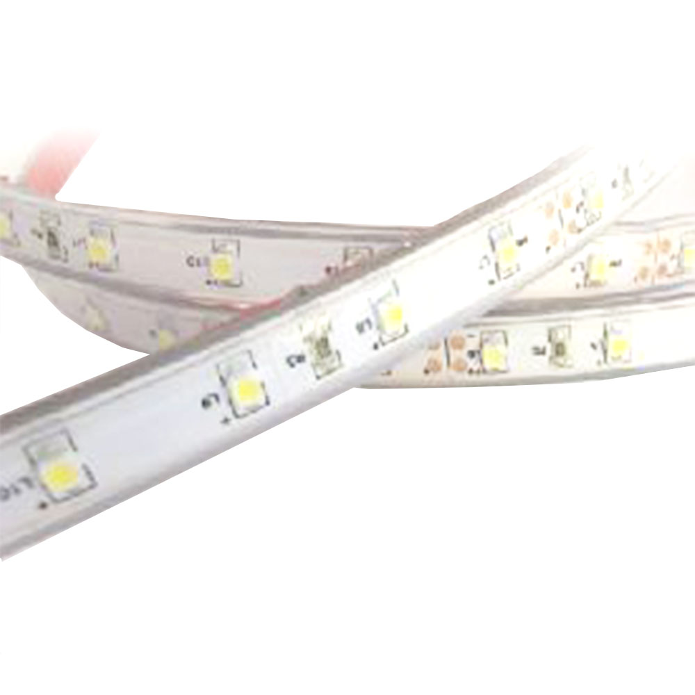 Trend LED Strip Waterproof 2835