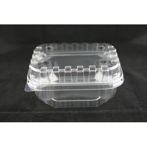 BX-151 (Fruit &Veggie Tray With Lid)