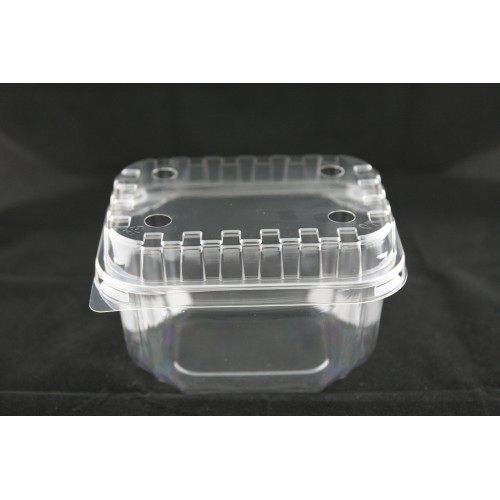 BX-152 (Fruit & Veggie Tray With Lid)