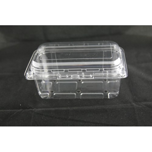 BX-500-85H (Fruit & Veggie Tray With Lid)