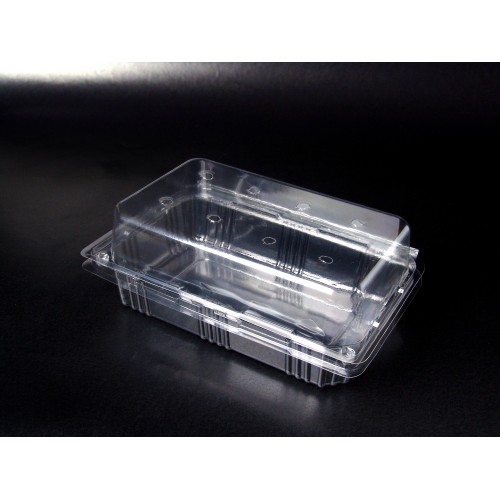 H-21L (Fruit & Veggie Tray With Lid)