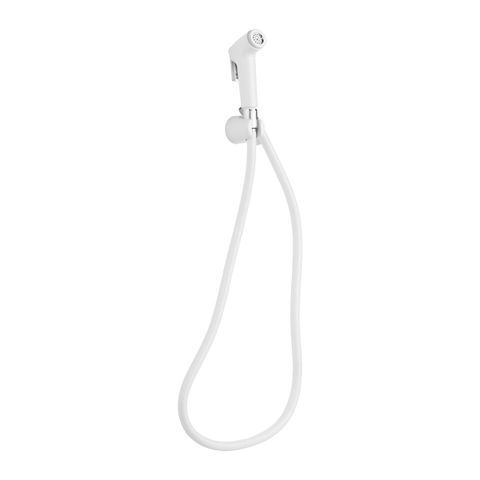 HCG BT1000 AW Plastic Bidet Chrome Finish