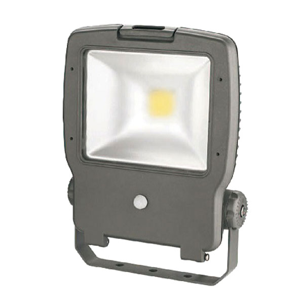 LED Floodlight PH 10W 2077