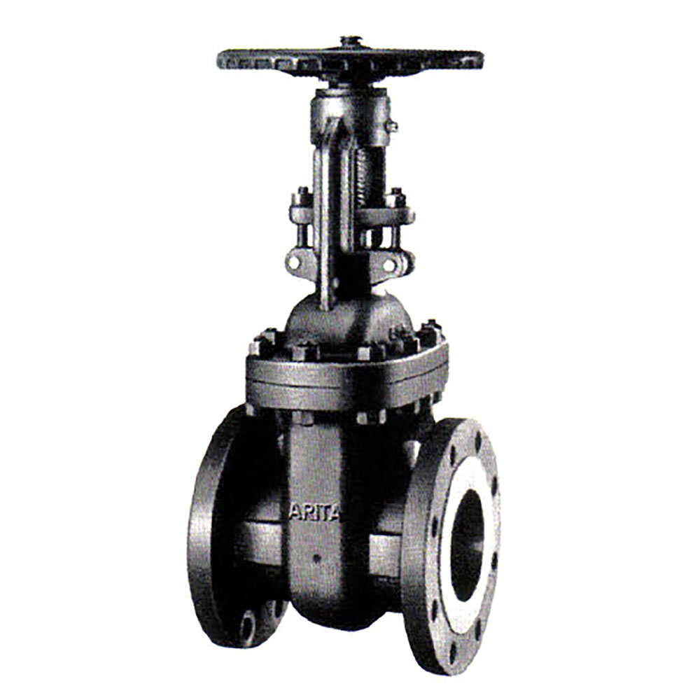 ARITA Stainless Steel Gate Valve, RS, OS&Y (Flanged End)