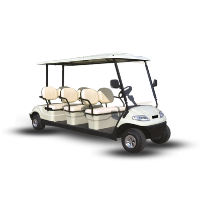 Buggy For Rent