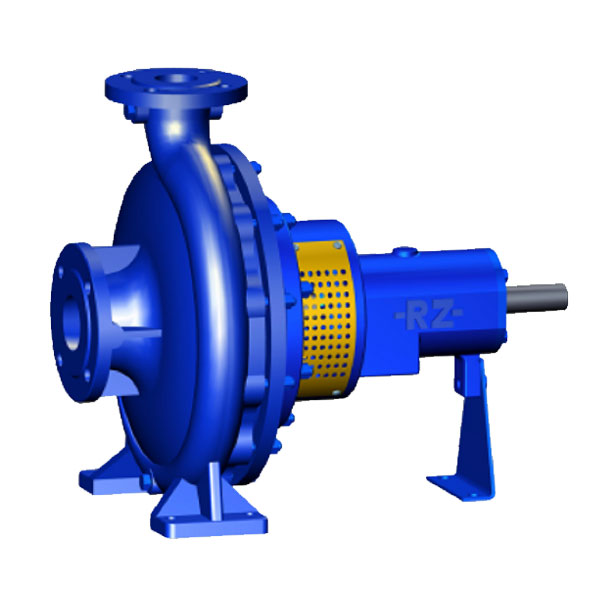 RZ Pumpen End Suction Transfer Pump