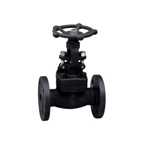 APE 602 Forged Globe Valves