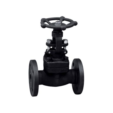 API Forged Flange Globe Valves