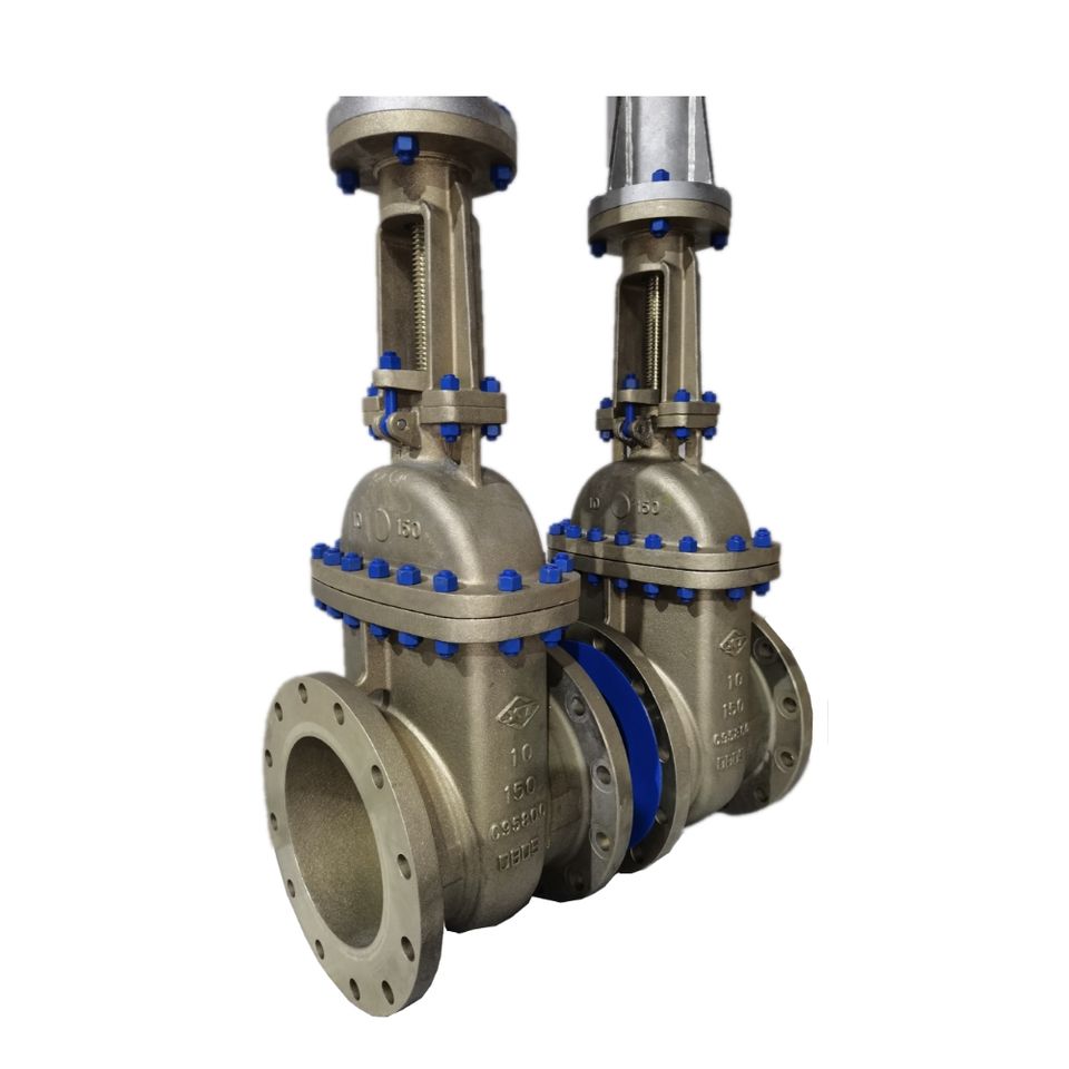Bronze Gate Valves BC Technology Pte Ltd Singapore