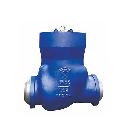 Butt Welding Check Valves