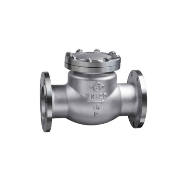 DIN Flange Stainless Steel Swing Check Valves