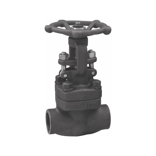 Forged Globe Valves