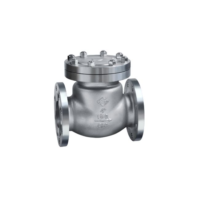 Swing Check Valves