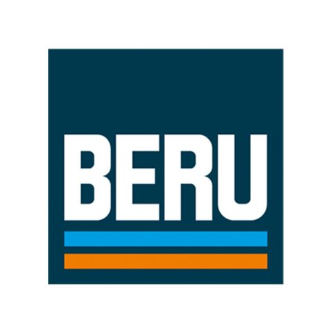 BERU Glow Plugs and Ignition Coils