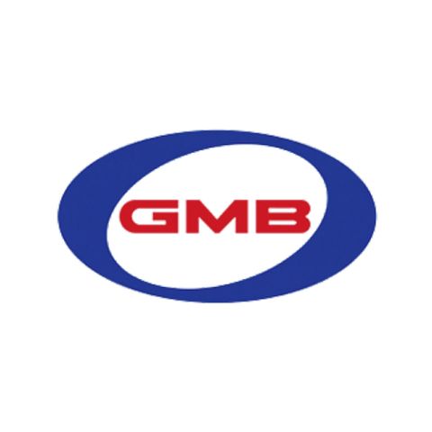 GMB Japan Water Pumps and Bearings