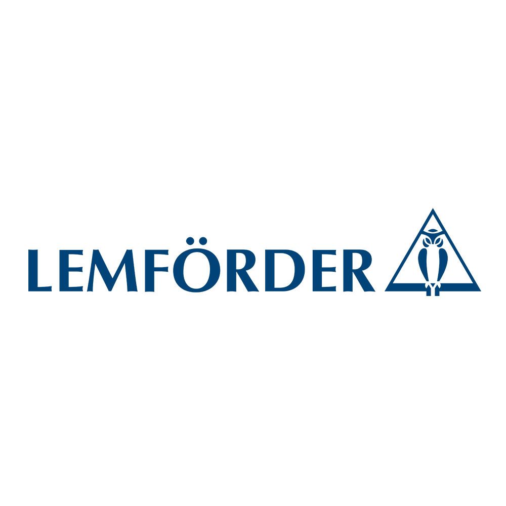 LEMFÖRDER suspension
