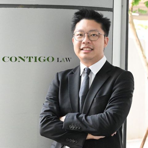 Shareholder Dispute Lawyer | Expert Corporate Conflict Resolution