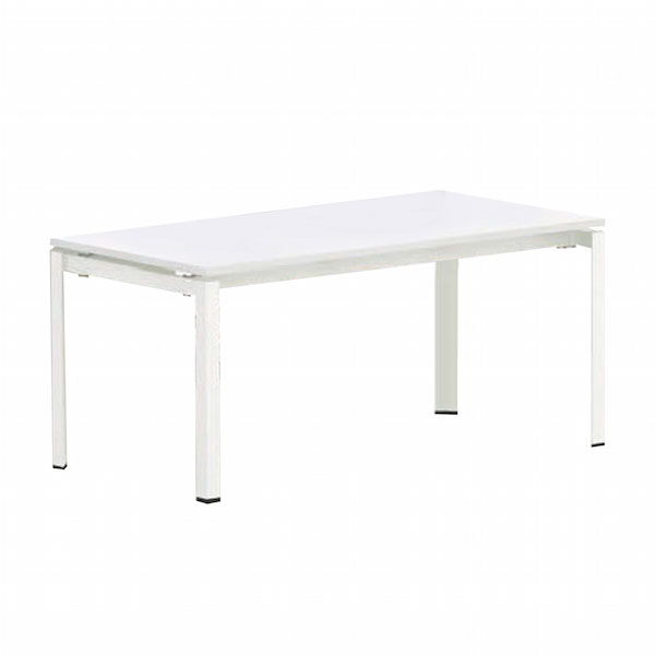 Meeting Table With TR Metal Leg