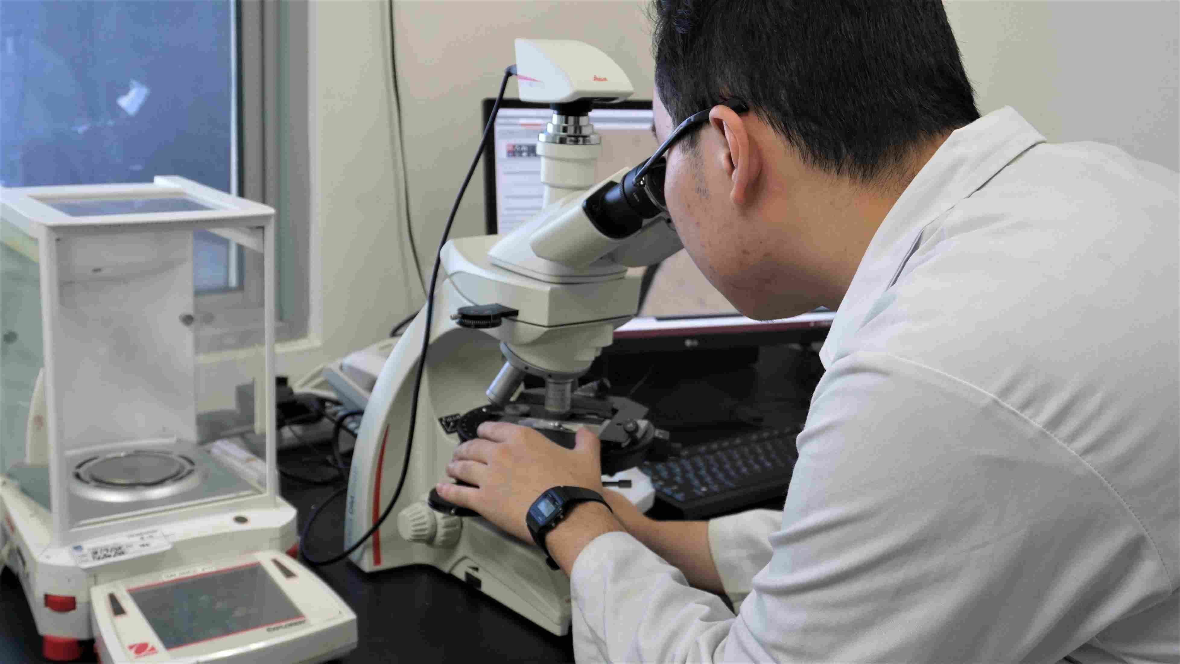 Fibre Identification