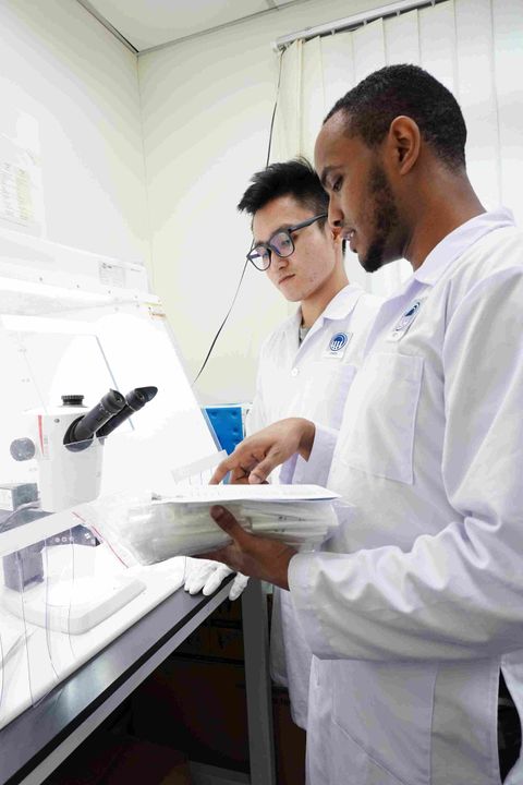 Inventory of Hazardous Materials