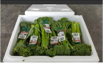 Aust Broccolini