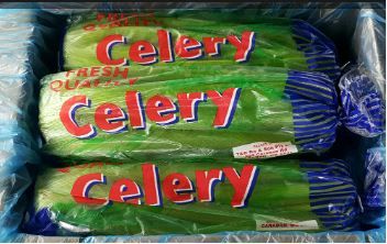 Aust Celery