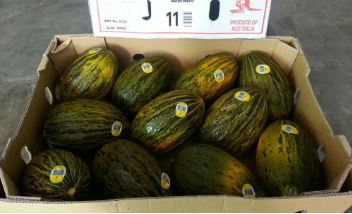 Aust De Sapo Melons