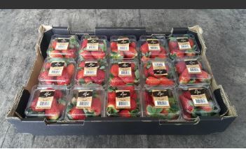 Aust Fortuner Strawberries