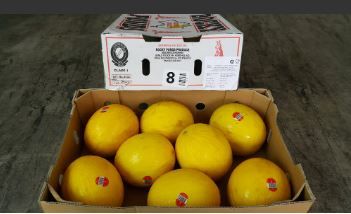 Aust Golden Sweet Melons