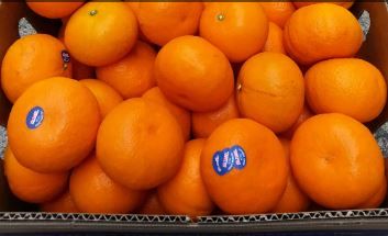 Aust Honey Murcott Mandarin Oranges