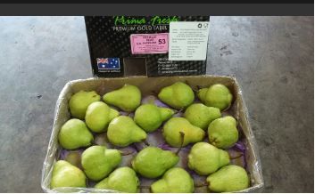 Aust Packham Pears