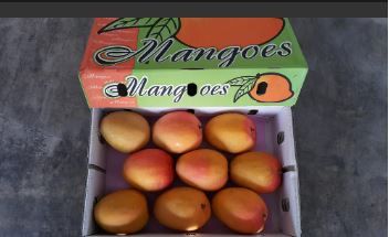 Aust R2E2 Mangoes