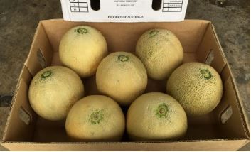 Aust Rockmelons