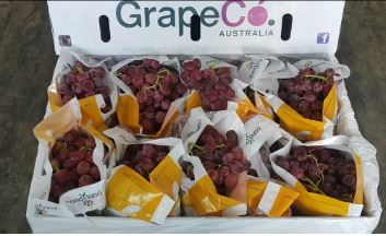 Aust Sweet Nectar Red Seedless Grapes