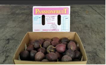 Aust Sweetheart Passion Fruits