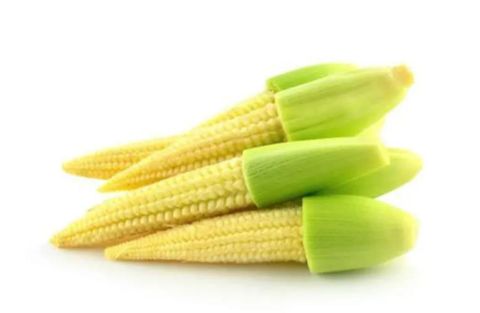 Baby Corn