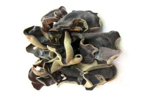 Black Fungus