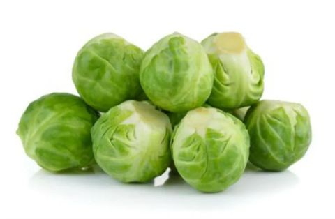 Brussel Sprout